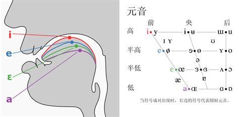 ives發音|怎么发音 Ives 